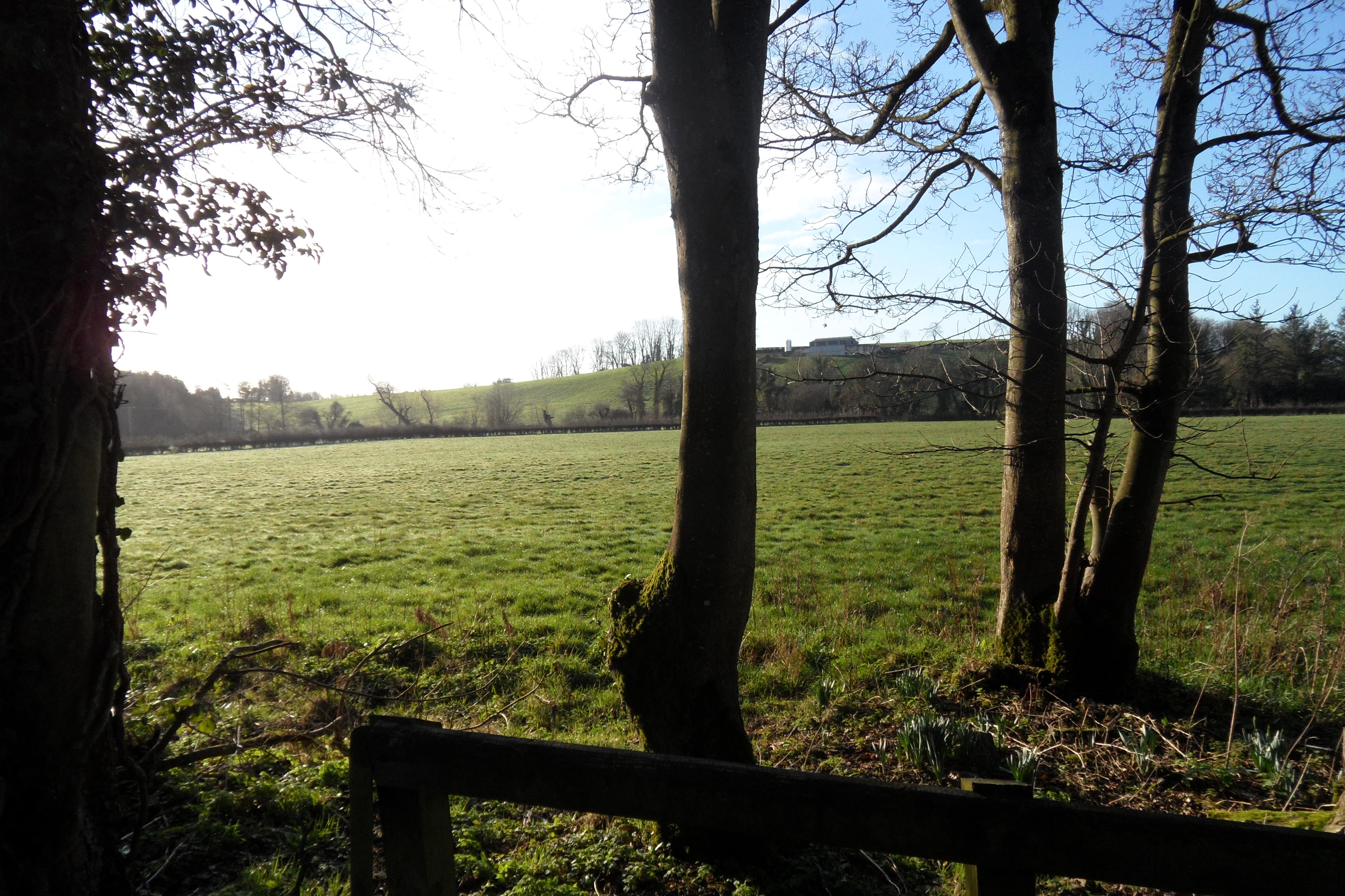 Exceptional site at Hillhall Glaslough