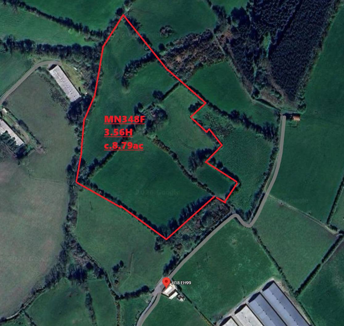 c.9ac and Derelict Cottage Ardaghy