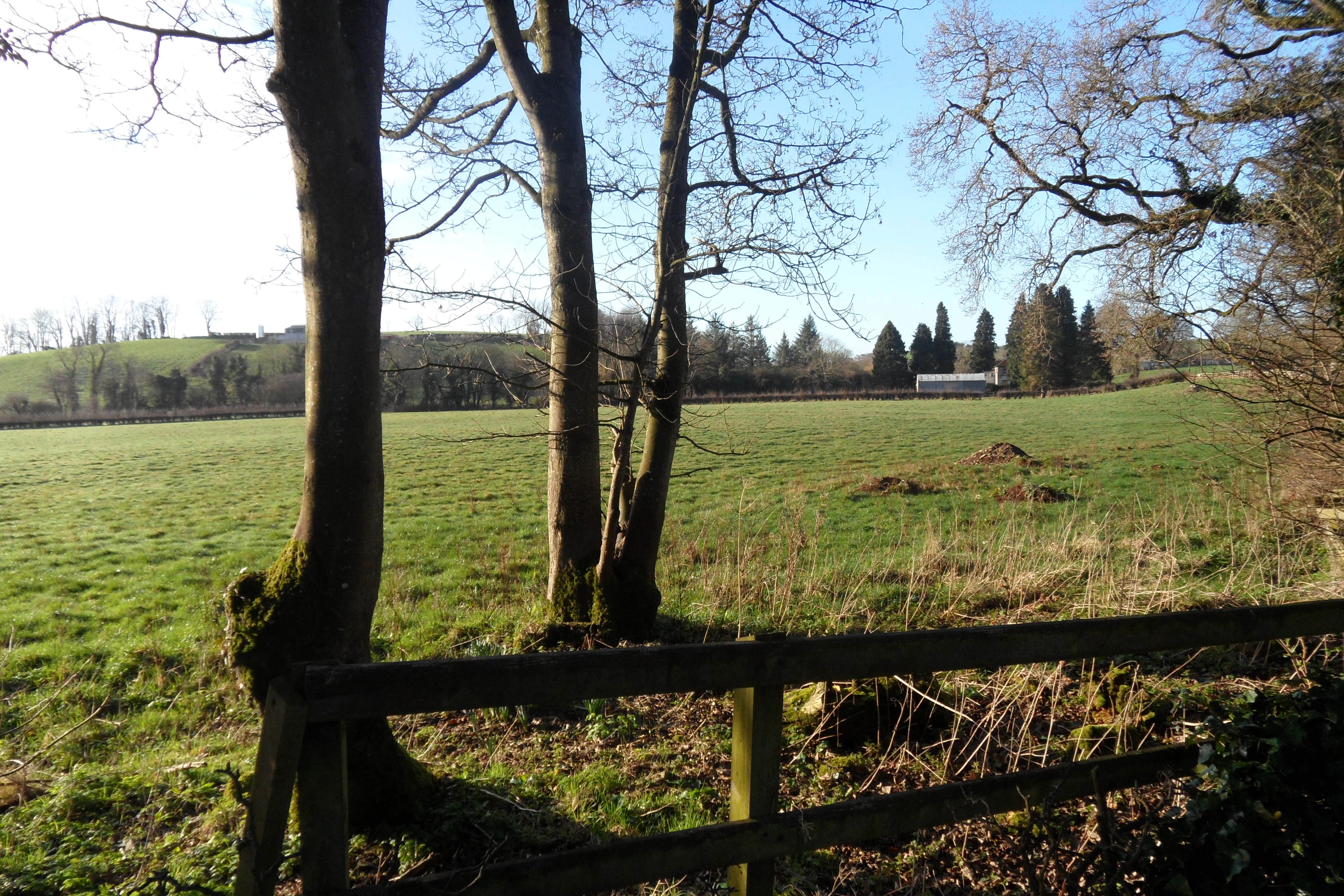 Property for sale Monaghan