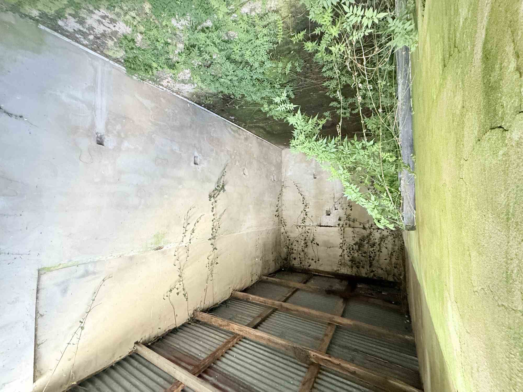 derryleedigan scotstown, Scotstown