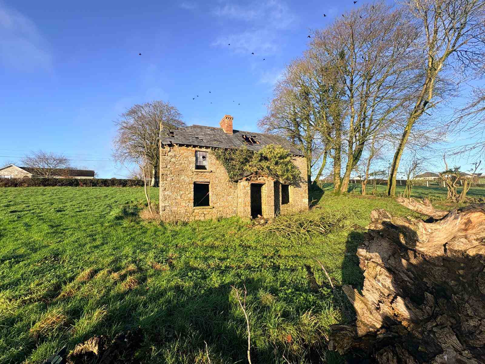 dundian emyvale co. monaghan, Emyvale